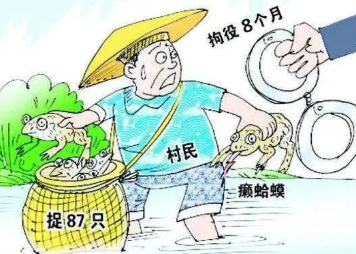 疫情的源头来自哪里?（疫情的源头在哪个城市）