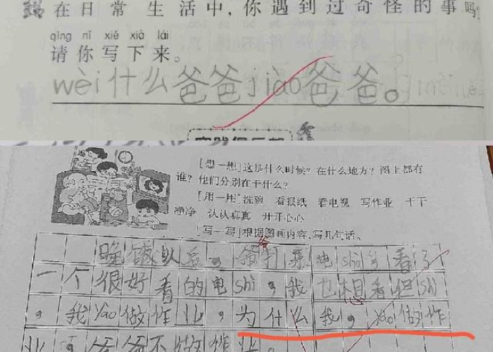 疫情下的我们作文600（疫情下的我们作文）