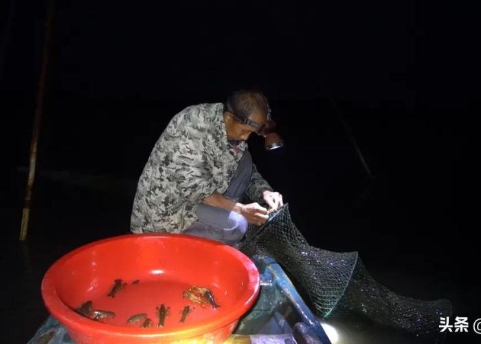 想念疫情前的日子（我想念疫情）