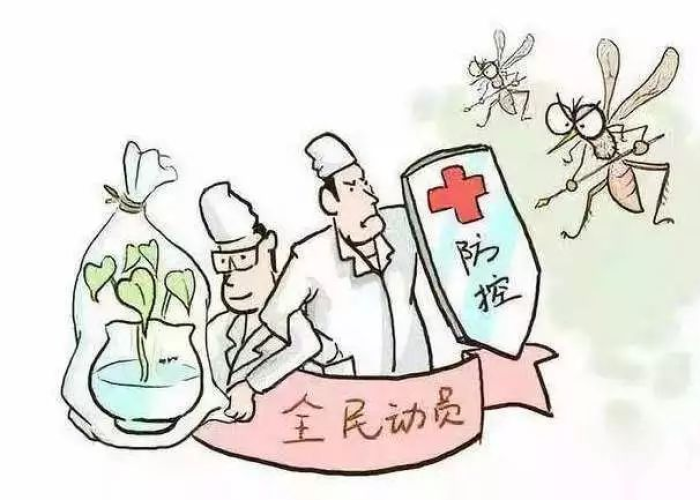三亚登革热最新疫情（三亚登岛是啥意思）