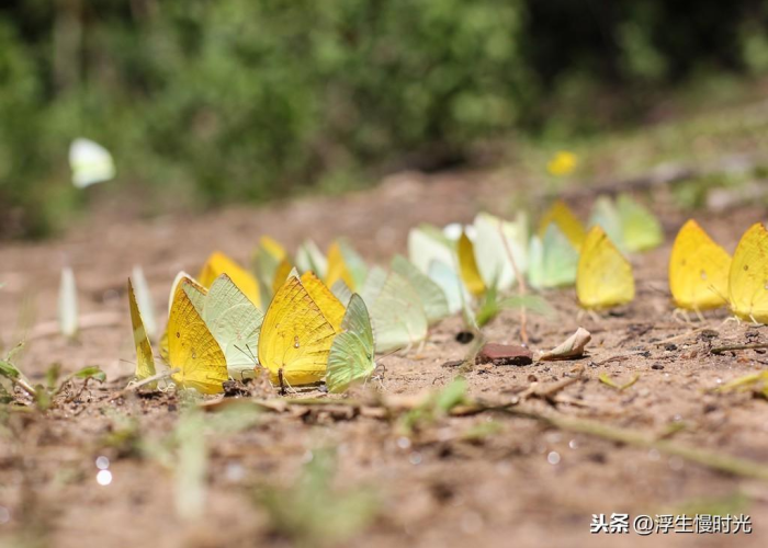 中国的疫情什么时候可以结束（中国的疫情什么时候可以结束啊）