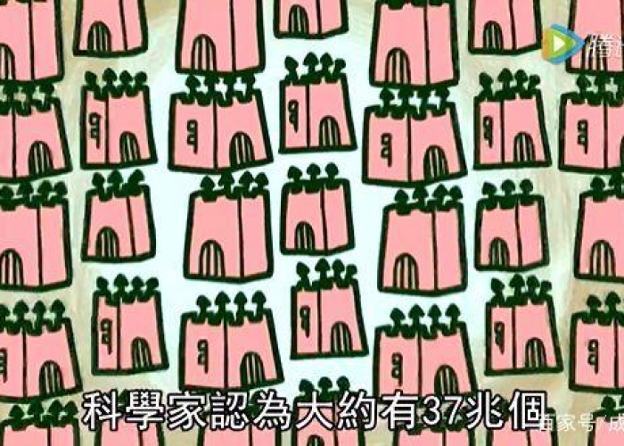 回顾疫情的短片（回顾疫情视频）