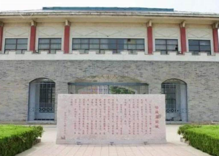 针对疫情可以提哪些问题和建议（对于疫情提出的问题）