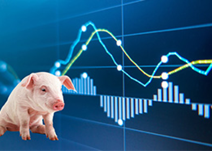 2019年疫情过后发生了什么（2019年疫情过后发生了什么事情）