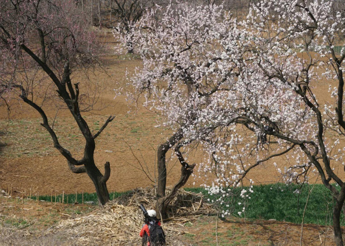 疫情什么时间能过去（请问疫情什么时候才能过去）