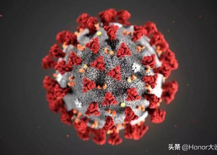 新冠疫情源头知乎（新冠疫情根源）