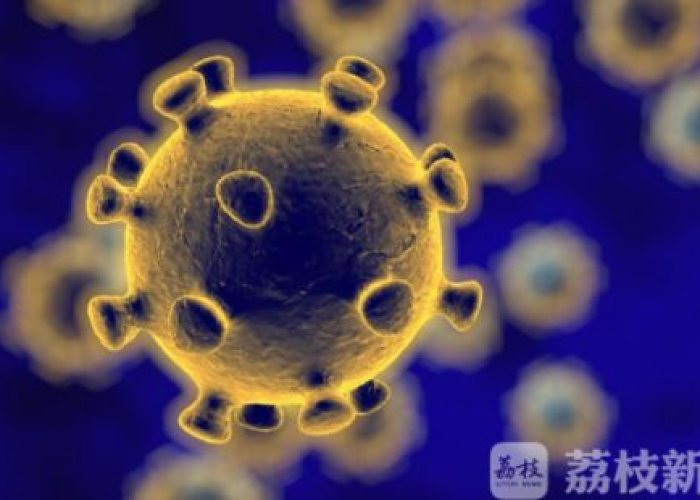 新冠疫情最初是什么时候爆发的（新冠疫情什么时候爆发的?）