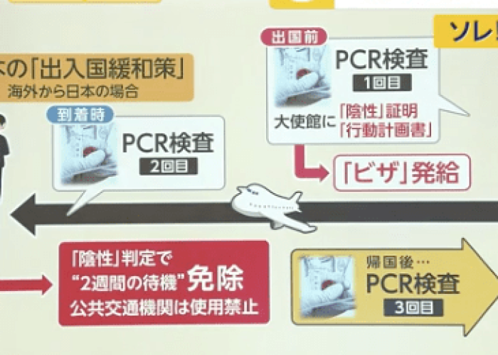 疫情大开放时间（疫情开放时间是）