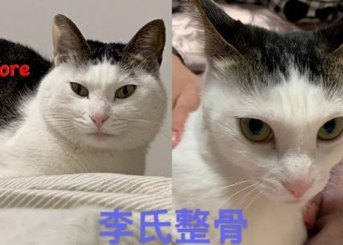 疫情我们在家里做些什么事（疫情在家做了什么有意义的事情）