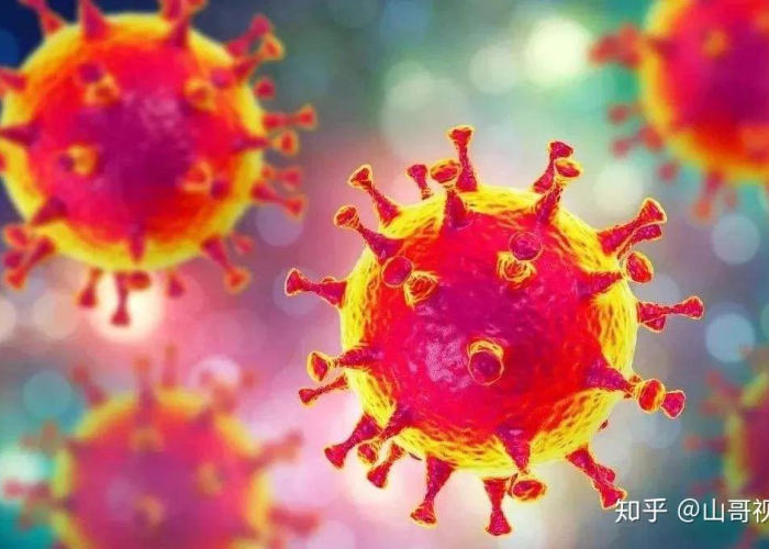 新冠疫情在哪里先爆发的（新冠肺炎疫情在哪里爆发的）