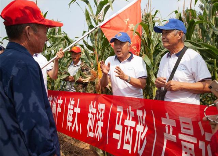 疫情防控社区志愿者演讲（社区普通人疫情志愿者发言）