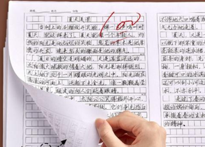 疫情下的思考800字作文（疫情下的思考作文500字议论文）