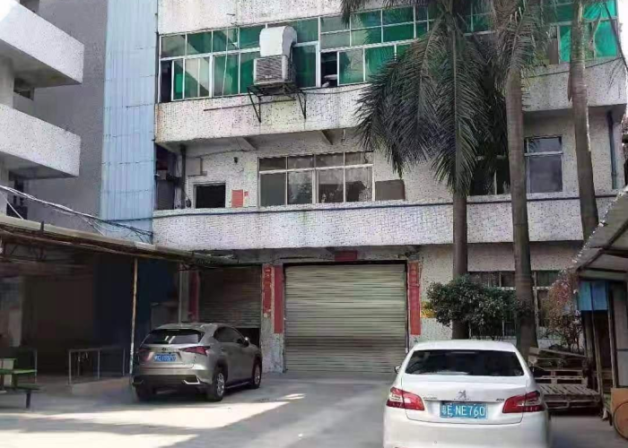 广州番禺大龙街道今日疫情通报（广州市番禺区大龙街城区大道121号三街17号）