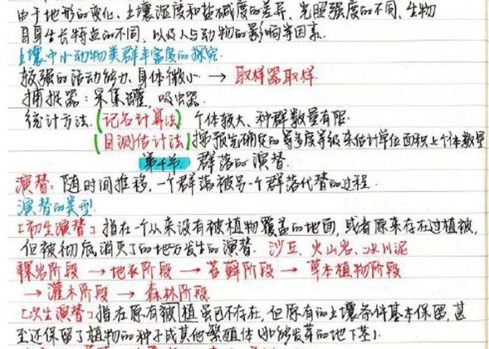 高中三年疫情三年的文案（高三的我们在疫情的日子里）