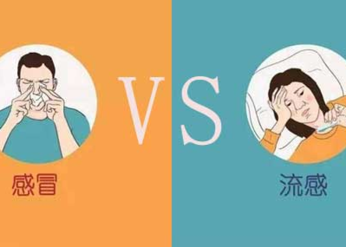 疫情就是个感冒（疫情跟感冒的区别）