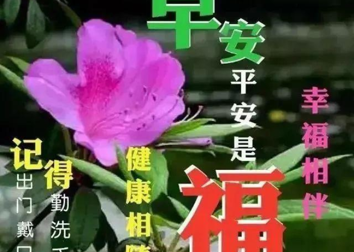 疫情期间坚持在岗在位范文（疫情期间坚守在工作岗位的句子）