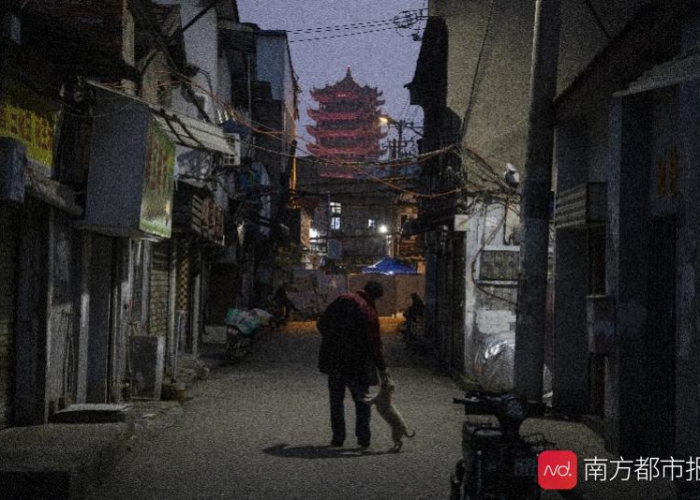 武汉疫情一夜白头情侣（武汉疫情一对情侣的真实故事）