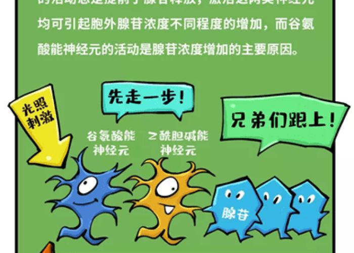 疫情背后的真实原理（疫情背后的原因）