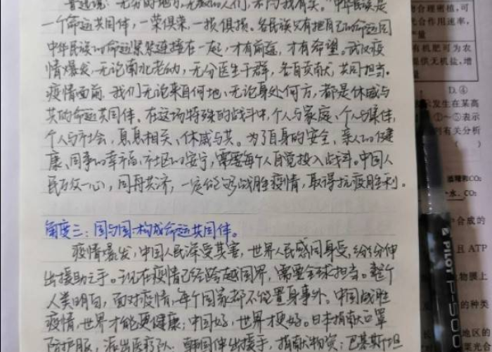 新冠肺炎疫情作文素材（新冠疫情作文素材800字）
