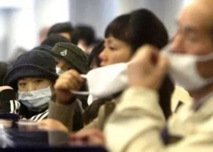 疫情是怎么引起的（武汉疫情是怎么引起的）