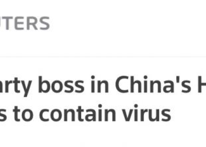 湖北疫情罢免官员（湖北因疫情处理的官员汇总表）