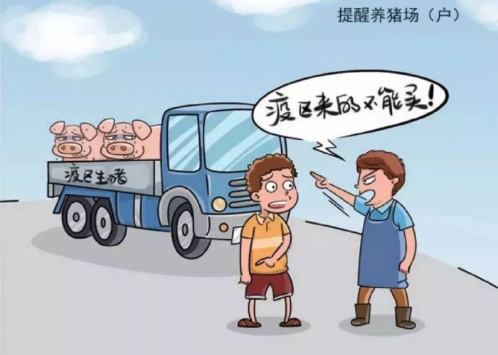疫情怎么来的呢（疫情是怎么来的呀）