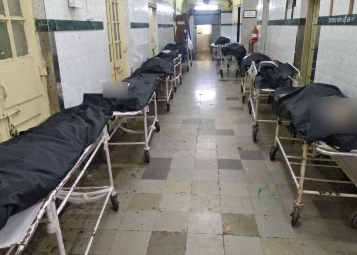 疫情最终死亡人数（疫情最终死亡人数排名）