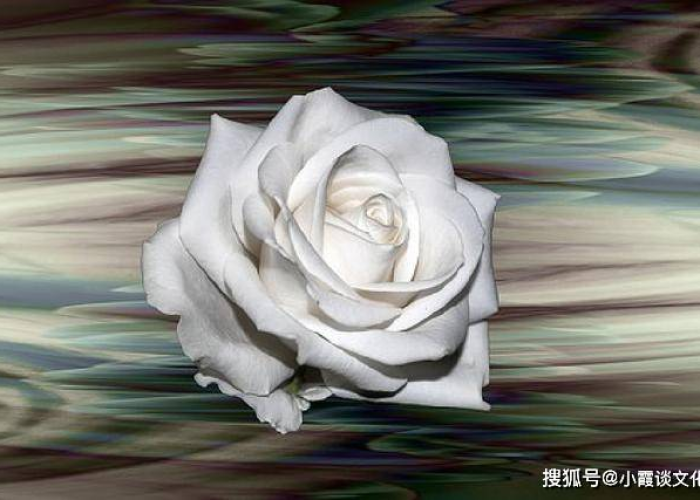 去年疫情的说说（疫情过去的朋友圈）