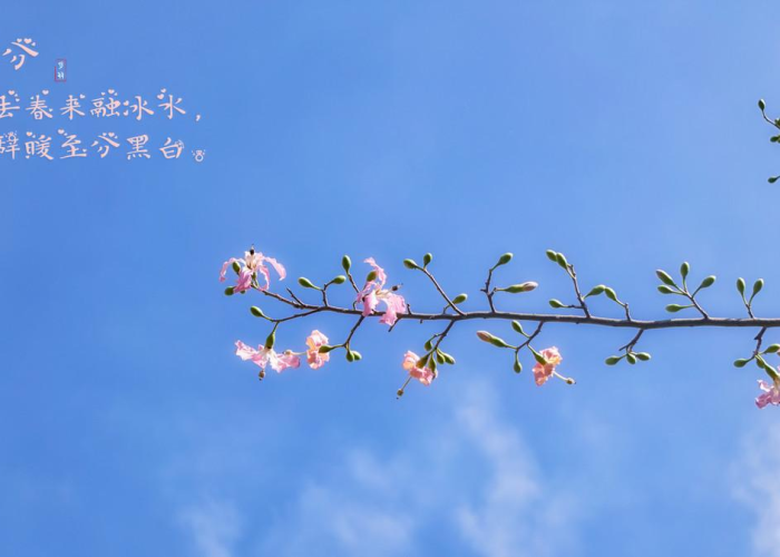 关于近几十年疫情（中国近代10大瘟疫）