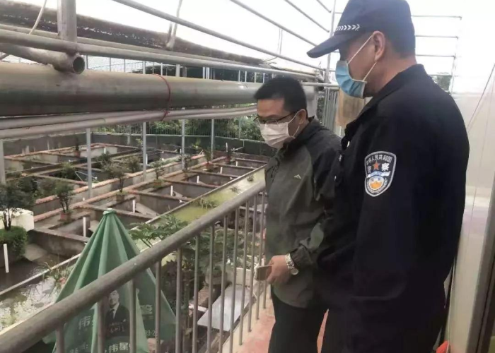 全国疫情图片（全国疫情图分布图）