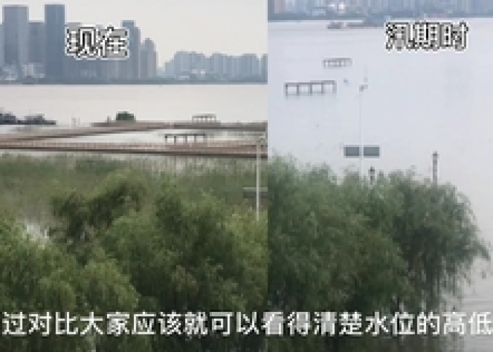 疫情之后武汉死了多少人（疫情之后武汉死了多少人了）