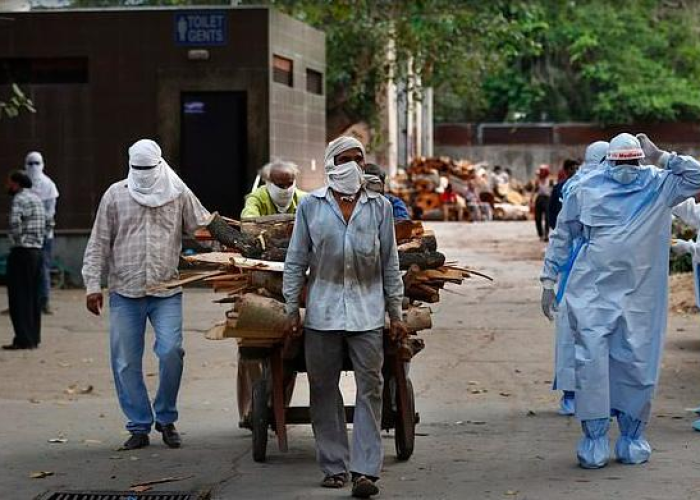 中国疫情死亡人数年龄分布（中国疫情死亡人数占比）