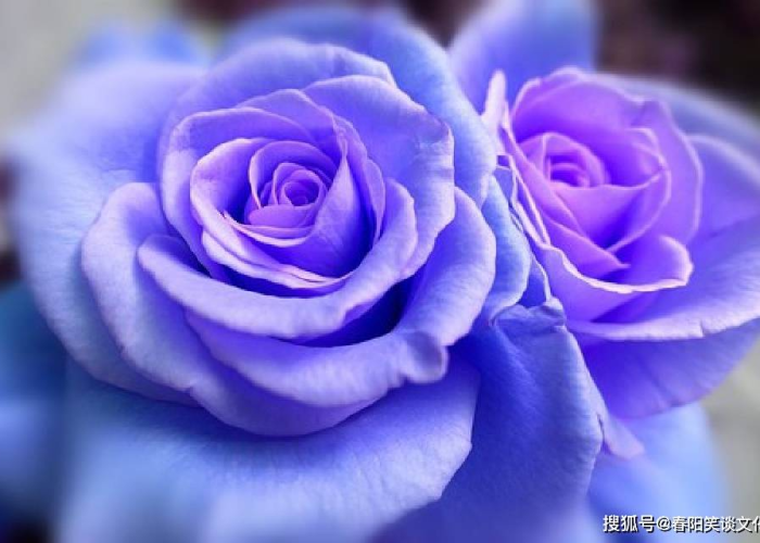 疫情感慨的文案（疫情感慨的句子说说心情）