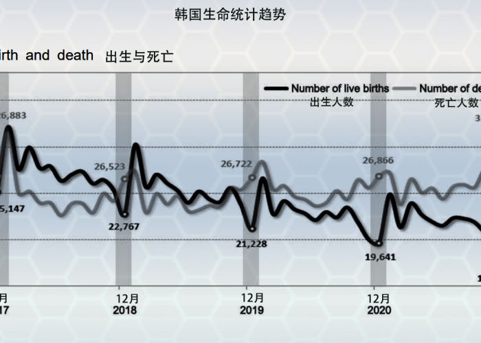 疫情导致出生率上升（疫情期间出生率和死亡率）