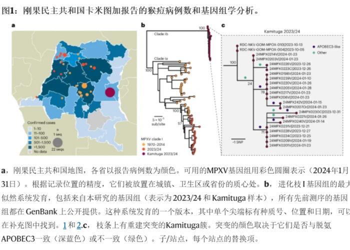 疫情需要备点什么（疫情应该备点什么）