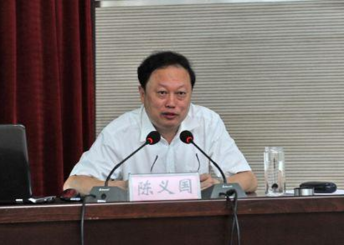 湖北因疫情免了多少干部（这次疫情湖北处理了多少官员）