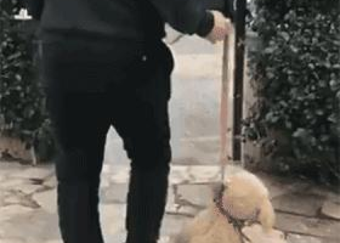 中国疫情从什么时候开始封城（国内疫情什么时候封城）