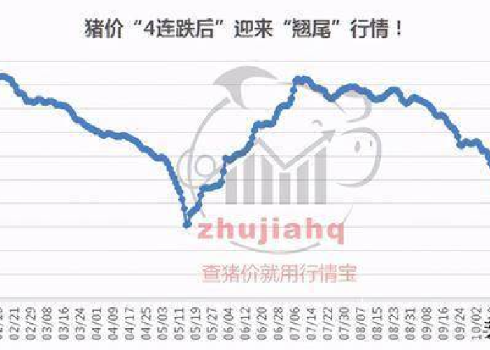 12月7日疫情解封后猪价会涨吗（2021年12月疫情能解除吗）