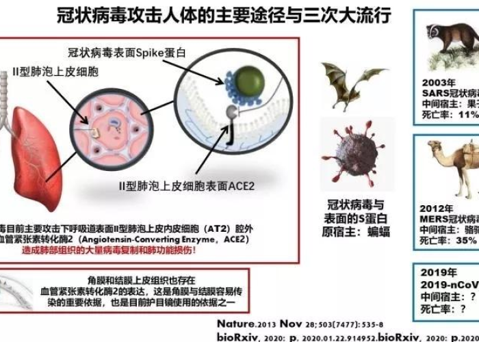 中国新冠肺炎疫情死亡人数（中国新冠肺炎疫情死亡率）