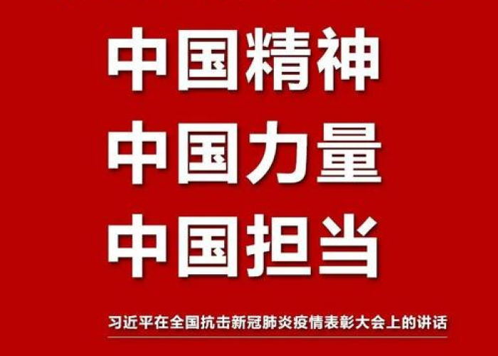 从新冠疫情看中国力量（从疫情中看中国力量）