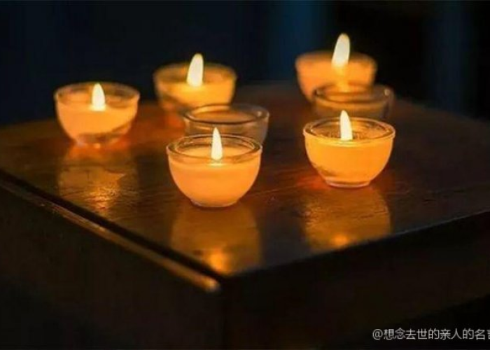 疫情期间思念已故亲人的句子（疫情期间悼念离世长辈的诗句）
