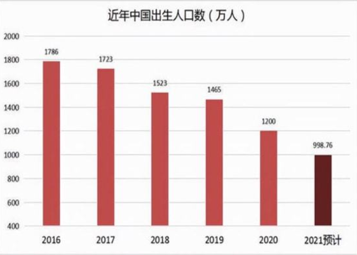 疫情期间出生率是不是很高（疫情期间出生率高吗）