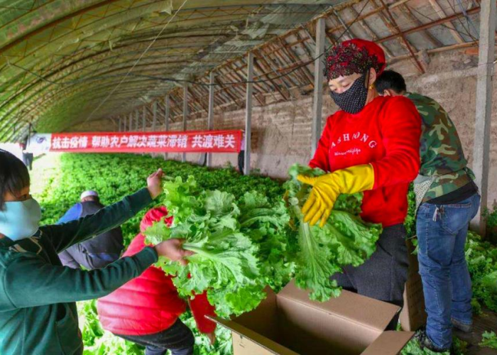 新冠疫情封城（新冠疫情封城三年是正确的吗）