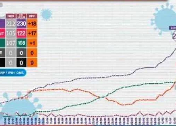 2020年新冠疫情爆发时间（2020年新冠疫情的突然爆发）