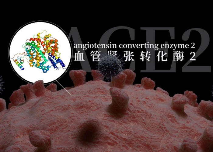 抖音最新疫情实时数据（抖音内最新疫情）
