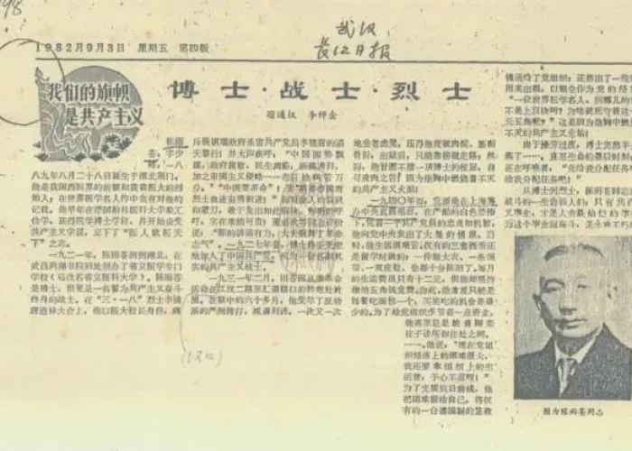 疫情中的爱国故事小作文（疫情期间的爱国感人故事）