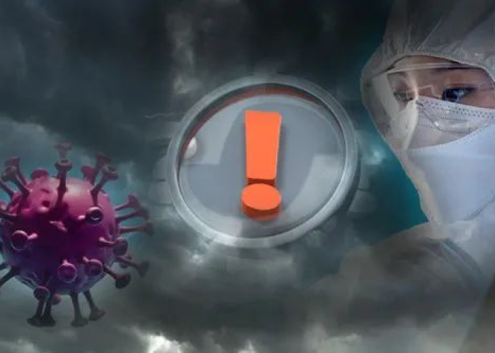 新冠疫情是在哪一年爆发的?（新冠疫情是在哪一年发生的）