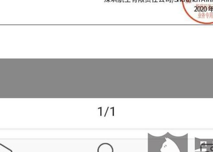 疫情社保退款（疫情期间社保退回的款怎么入账）