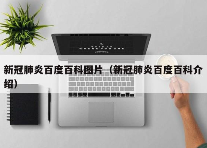 疫情百度百科（新冠疫情百度百科）