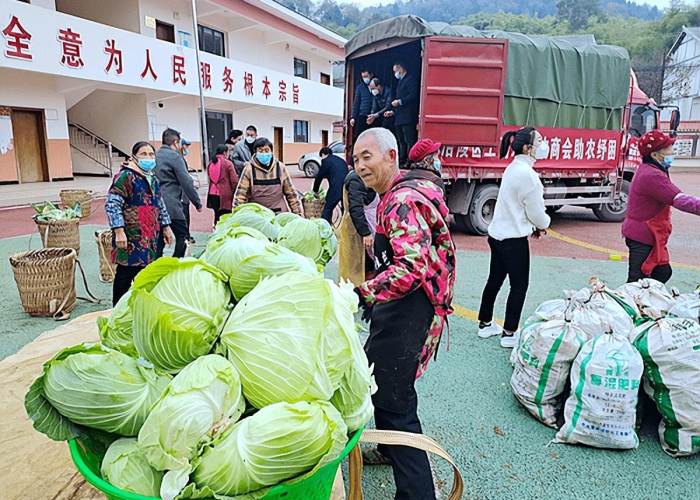 重庆疫情属于什么（重庆疫情属于重灾区吗）